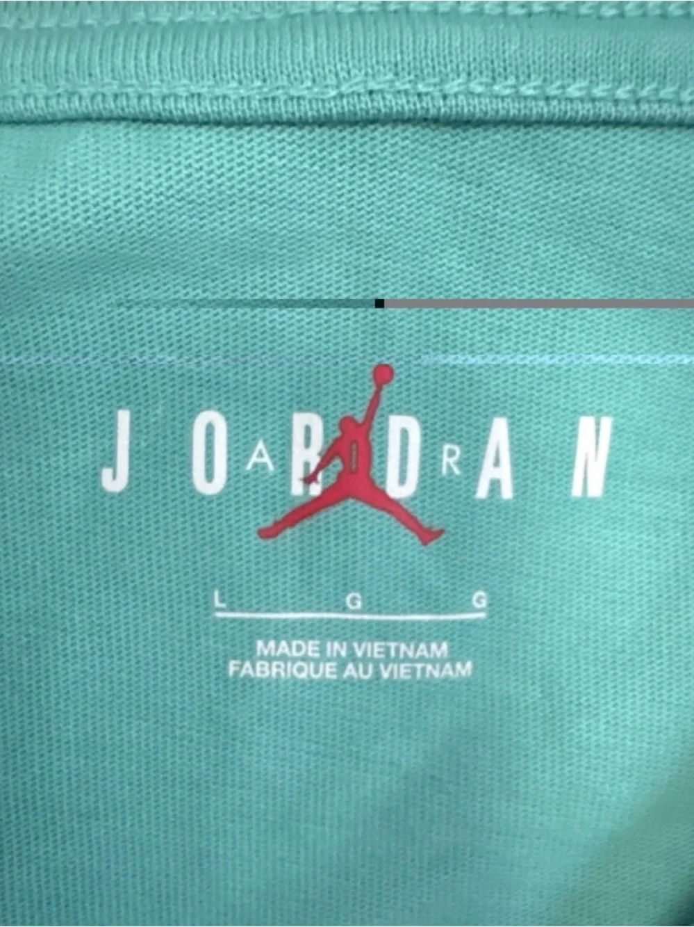 Jordan Jumpman Air Jordan 1 Teal Men's T-Shirt L Embroidered Logo Crew Neck